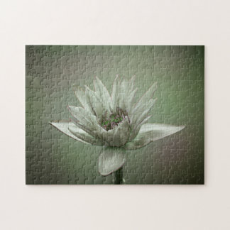 Wasserlilien-Grünton-Puzzle