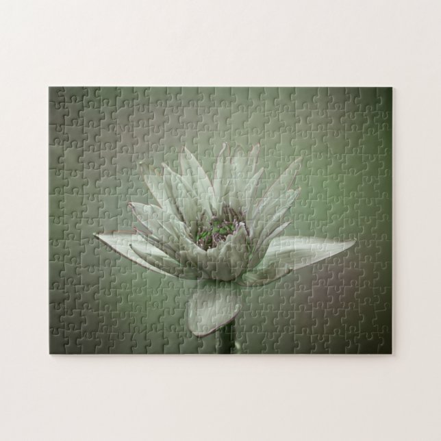 Wasserlilien-Grünton-Puzzle (Horizontal)