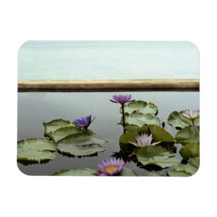 Wasserlilien im Teich durch Ozean Magnet