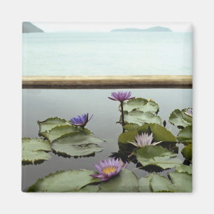 Wasserlilien im Teich durch Ozean Magnet