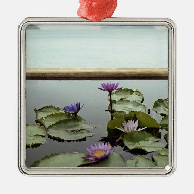 Wasserlilien im Teich durch Ozean Silbernes Ornament (Vorne)