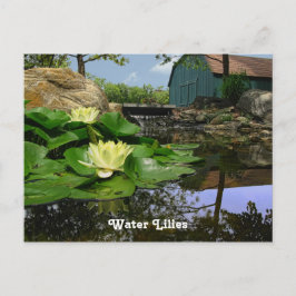 Wasserlilien im Teich Postkarte