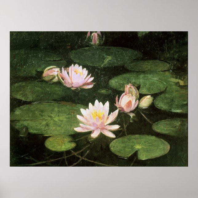 Wasserlilien, Kunstmalerei von Abbott Thayer Poster (Vorne)
