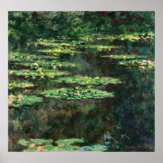 Wasserlilien mit Reflektionen Poster