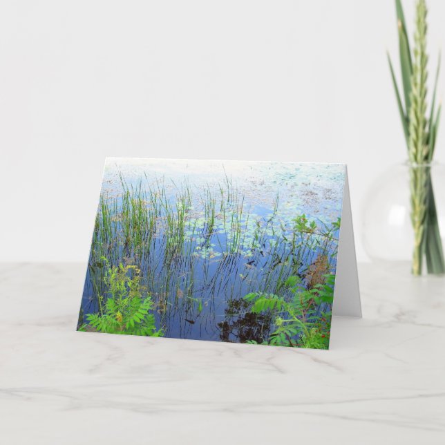 Wasserlilien, Sharon CT Karte (Vorderseite)