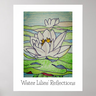 Wasserlilien Spiegelungen Poster