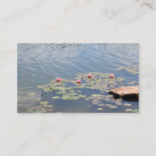 Wasserlilien Visitenkarte