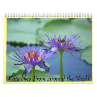 Wasserlilienkalender Kalender