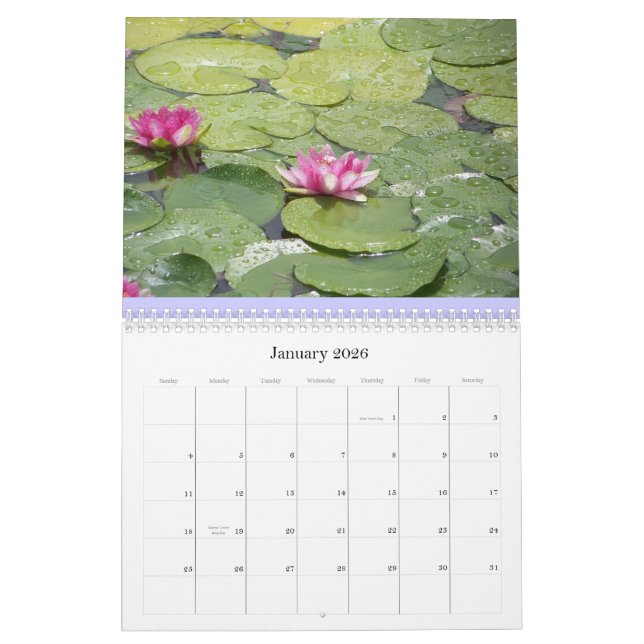 Wasserlilienkalender Kalender (Jan 2026)