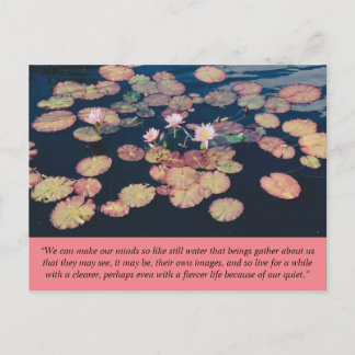 Wasserlille Stille Postkarte