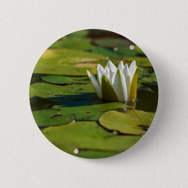 Wasserlily Blossom Button (Vorderseite)