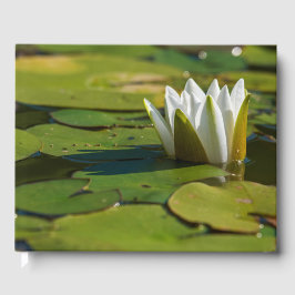 Wasserlily Blossom Gästebuch