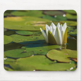 Wasserlily Blossom Mousepad