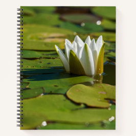 Wasserlily Blossom Notizbuch