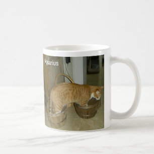 Wassermann-Katzen-Tierkreis-Zeichen-Tasse Kaffeetasse