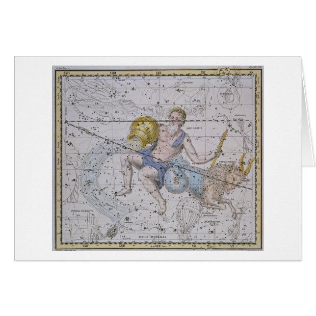 Wassermann und Steinbock, von "einem himmlischen (Vorderseite (Horizontal))