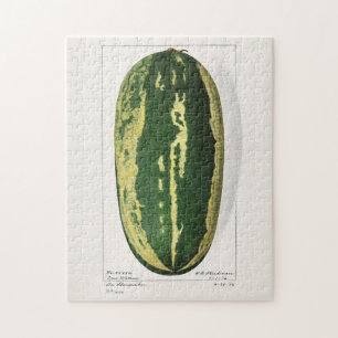 Wassermelone (Citrullus Lanatus) Fruchtmalerei