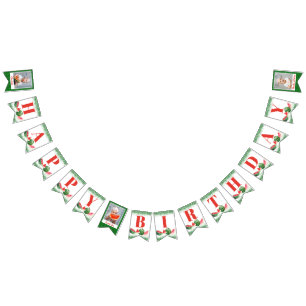 Wassermelone Green Glitzer Custom 3 Foto Geburtsta Wimpelkette