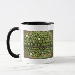 Wassermelonen Tasse