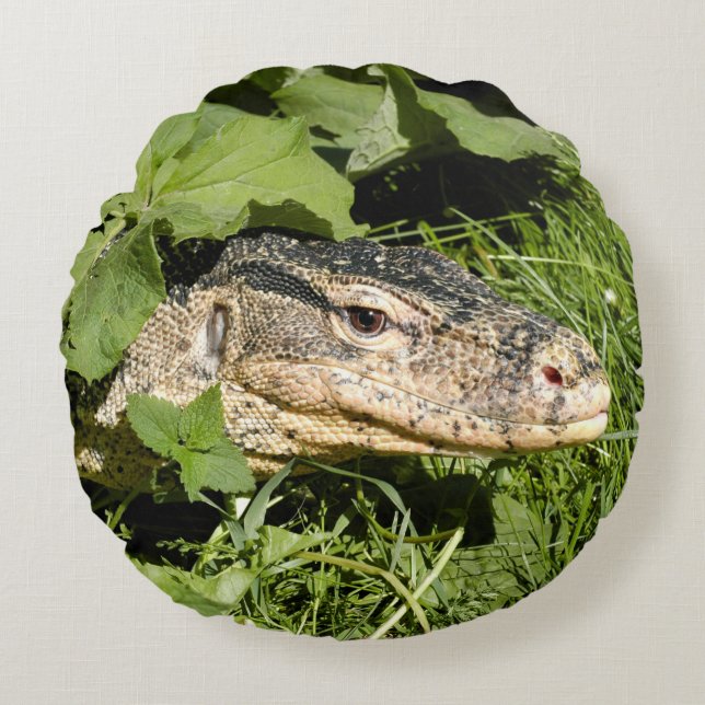 Wassermonitoreidechse auf Gras Rundes Kissen (Vorderseite)