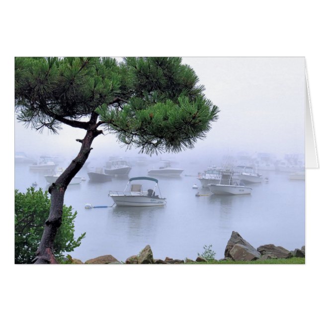 Wassernebel (Vorderseite (Horizontal))