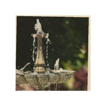 Wasserpfeifen im Hollis Gardens