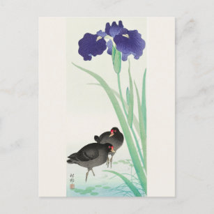 Wasserpfeifen und Iris-Malerei von Ohara Koson Postkarte
