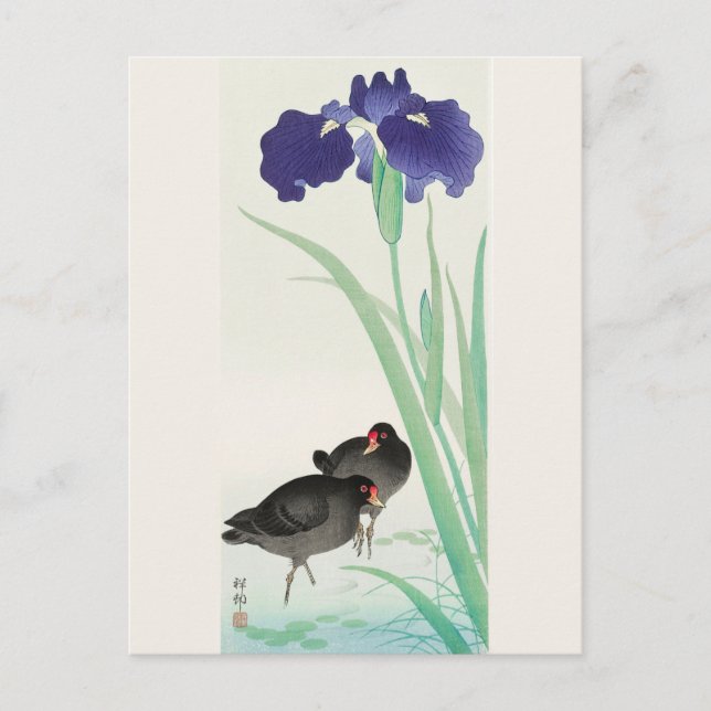 Wasserpfeifen und Iris-Malerei von Ohara Koson Postkarte (Vorderseite)