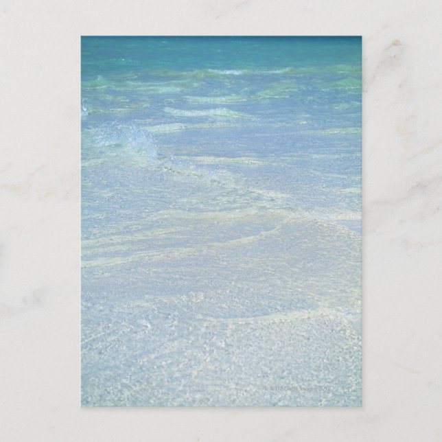 Wasserrand 2 postkarte (Vorderseite)