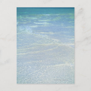 Wasserrand 2 postkarte