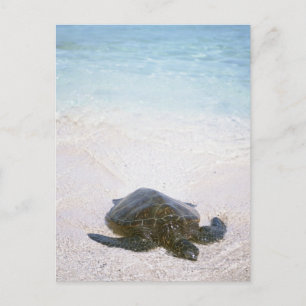 Wasserrand Postkarte