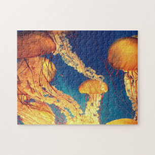 Wasserrätsel Wassertauchen Wasserfische Fotos Meer