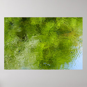 Wasserschläger im Laurel Hill Staat Park Poster