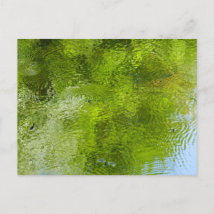 Wasserschläger im Laurel Hill Staat Park Postkarte