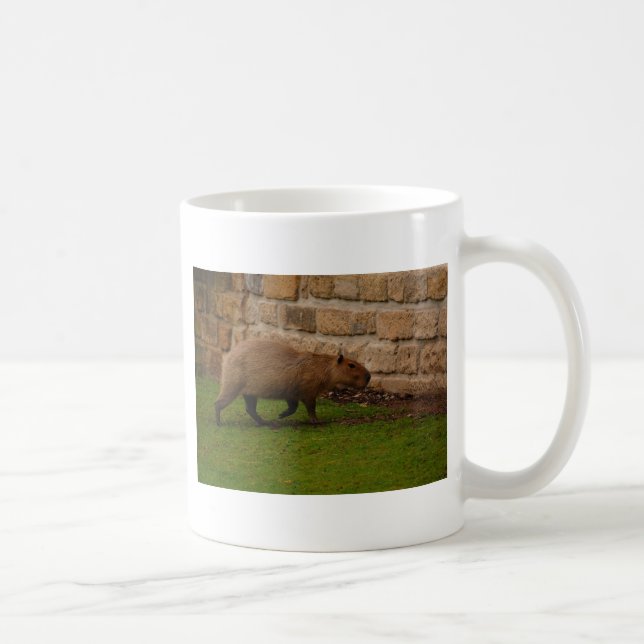 Wasserschwein Kaffeetasse (Rechts)