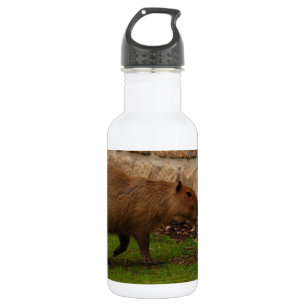Wasserschwein Trinkflasche