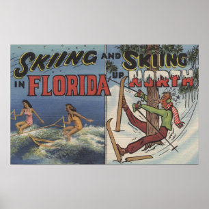 Wasserski in Florida gegen den Schnee, der herauf Poster