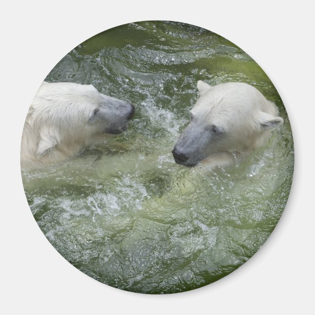 Wasserspass Eisbären Magnet (Vorne)