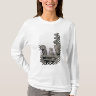 Wasserspeier auf der Balustrade von dem großen T-Shirt