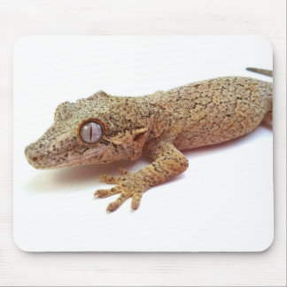 Wasserspeiergecko-Mausunterlage Mousepad