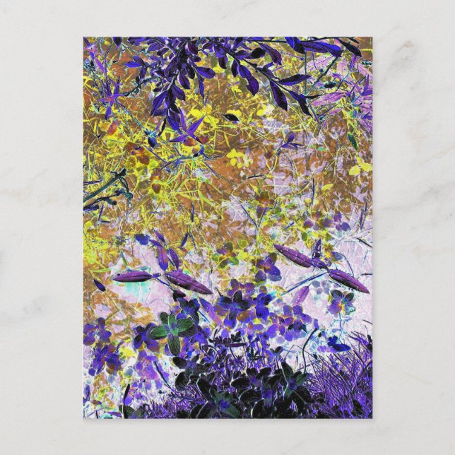 WASSERSPIEGEL POSTKARTE (Vorderseite)