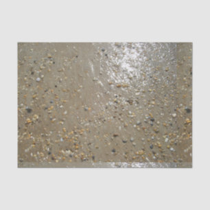 Wassersportzentrum Muscheln Beach Sand Summer Seidenpapier