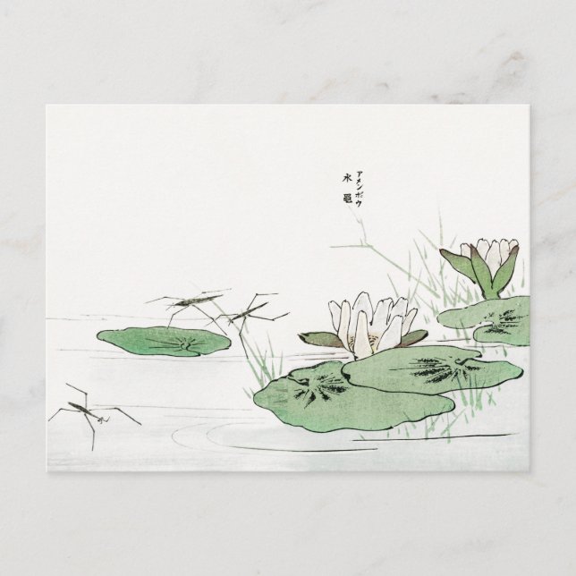 Wasserstreifer auf einem Teich von Morimoto Toko P Postkarte (Vorderseite)