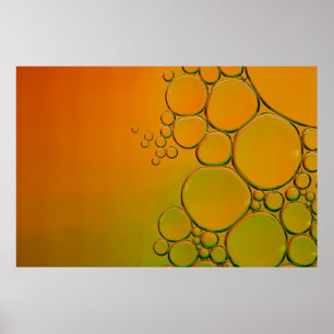Wassertaubengrafik Poster