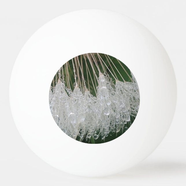 Wassertröpfchen Tischtennisball (Vorderseite)