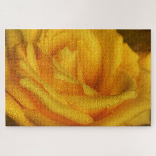 Wassertropfen an der eleganten Gelben Rose