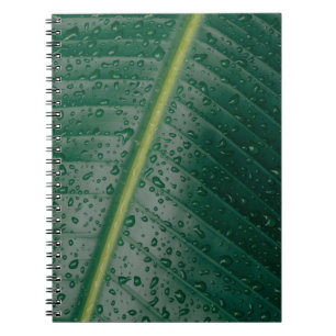 Wassertropfen auf Bananenblättern Notizblock