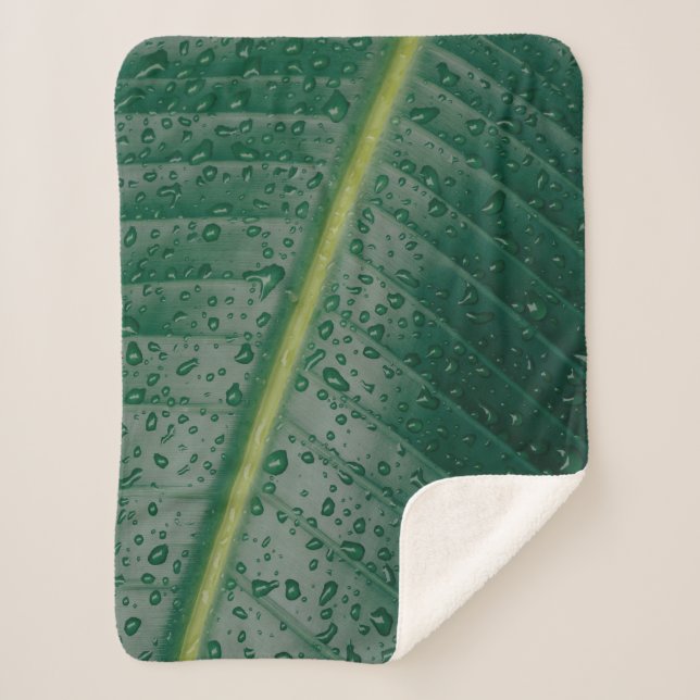 Wassertropfen auf Bananenblättern Sherpadecke (Vorderseite)