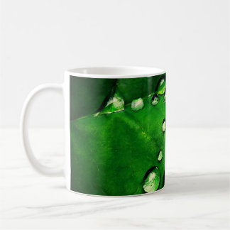 Wassertropfen auf einem Blatt Kaffeetasse