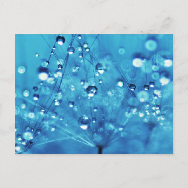 Wassertropfen auf Lüstern Postkarte (Vorderseite)